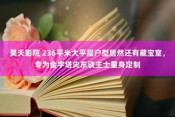 昊天影院 236平米大平层户型居然还有藏宝室，专为金字塔尖东谈主士量身定制