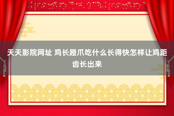 天天影院网址 鸡长蹬爪吃什么长得快怎样让鸡距齿长出来