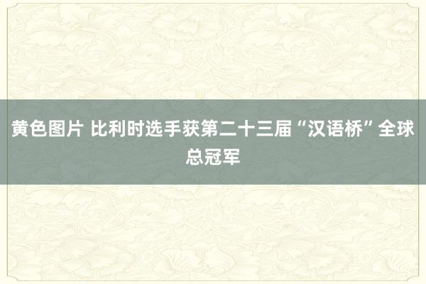 黄色图片 比利时选手获第二十三届“汉语桥”全球总冠军