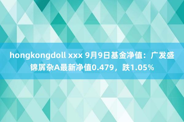 hongkongdoll xxx 9月9日基金净值：广发盛锦羼杂A最新净值0.479，跌1.05%