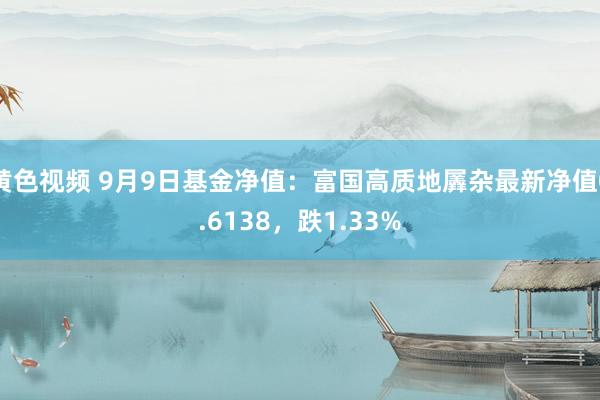 黄色视频 9月9日基金净值：富国高质地羼杂最新净值0.6138，跌1.33%