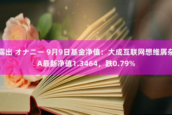 露出 オナニー 9月9日基金净值：大成互联网想维羼杂A最新净值1.3464，跌0.79%