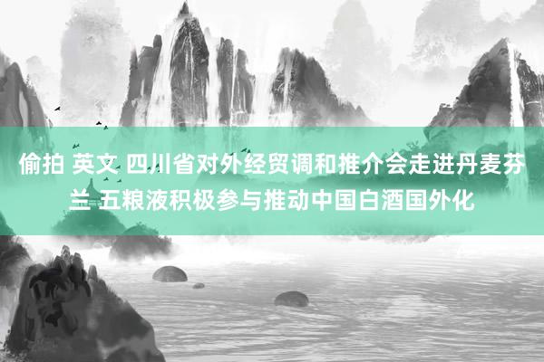 偷拍 英文 四川省对外经贸调和推介会走进丹麦芬兰 五粮液积极参与推动中国白酒国外化