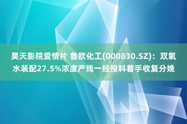 昊天影院爱情片 鲁欧化工(000830.SZ)：双氧水装配27.5%浓度产线一经投料着手收复分娩