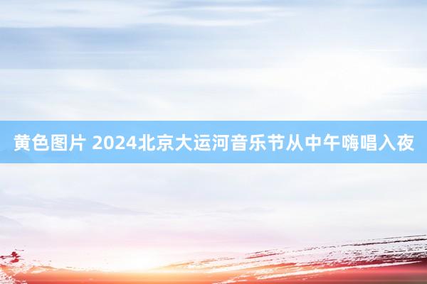 黄色图片 2024北京大运河音乐节从中午嗨唱入夜