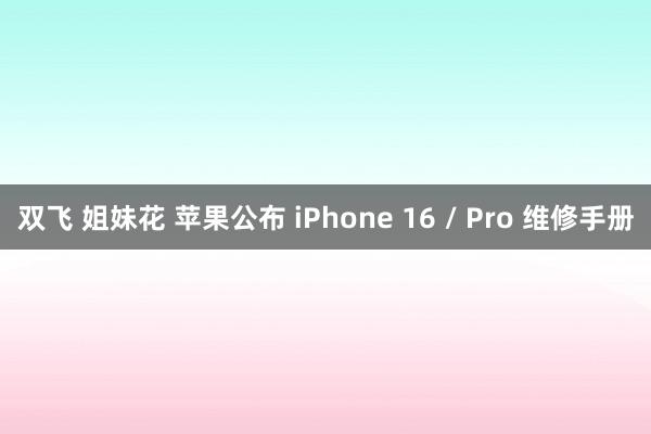 双飞 姐妹花 苹果公布 iPhone 16 / Pro 维修手册