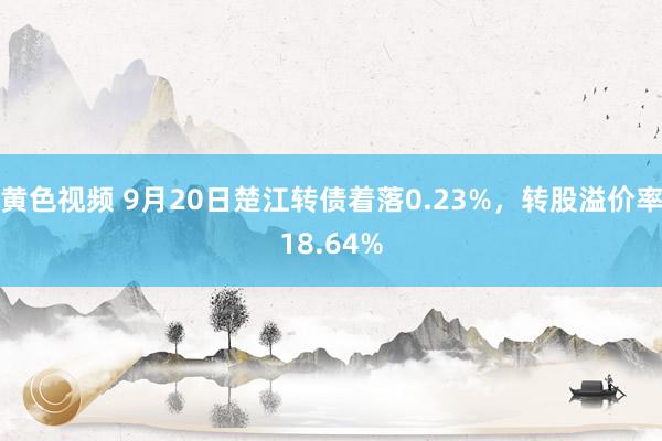 黄色视频 9月20日楚江转债着落0.23%，转股溢价率18.64%