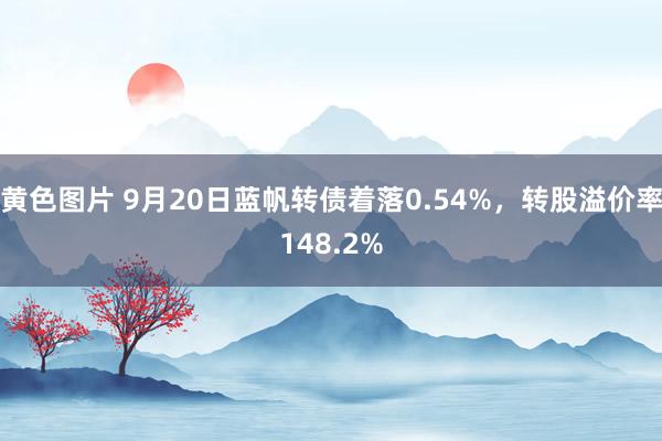 黄色图片 9月20日蓝帆转债着落0.54%，转股溢价率148.2%