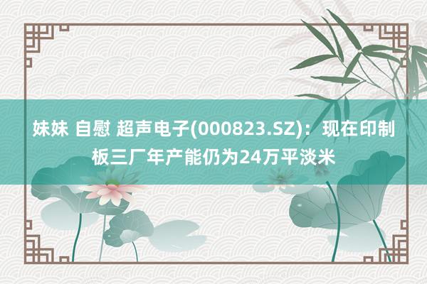 妹妹 自慰 超声电子(000823.SZ)：现在印制板三厂年产能仍为24万平淡米