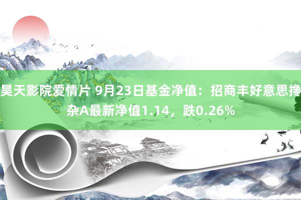 昊天影院爱情片 9月23日基金净值：招商丰好意思搀杂A最新净值1.14，跌0.26%