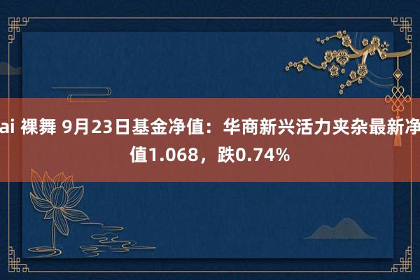 ai 裸舞 9月23日基金净值：华商新兴活力夹杂最新净值1.068，跌0.74%