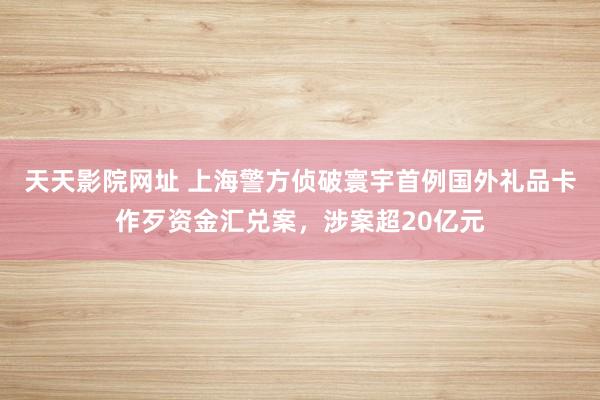 天天影院网址 上海警方侦破寰宇首例国外礼品卡作歹资金汇兑案，涉案超20亿元