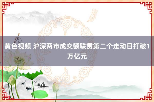 黄色视频 沪深两市成交额联贯第二个走动日打破1万亿元