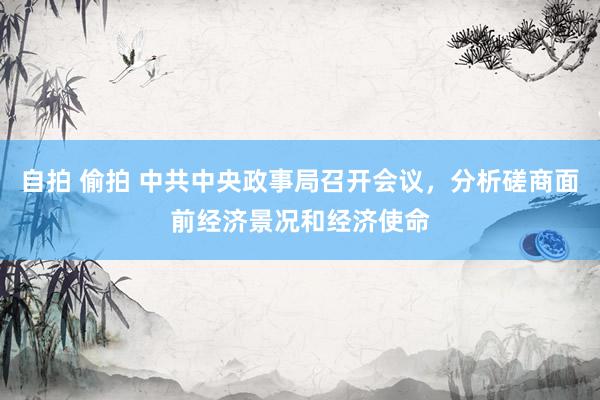 自拍 偷拍 中共中央政事局召开会议，分析磋商面前经济景况和经济使命