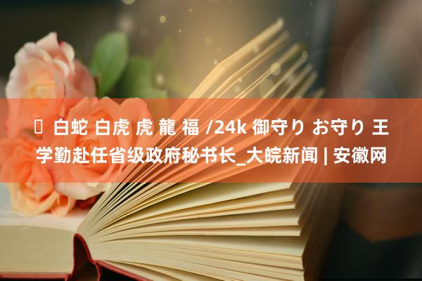 ✨白蛇 白虎 虎 龍 福 /24k 御守り お守り 王学勤赴任省级政府秘书长_大皖新闻 | 安徽网