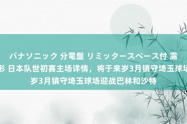 パナソニック 分電盤 リミッタースペース付 露出・半埋込両用形 日本队世初赛主场详情，将于来岁3月镇守埼玉球场迎战巴林和沙特