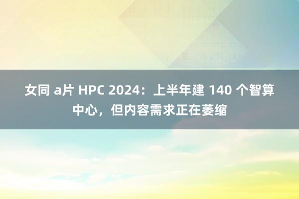 女同 a片 HPC 2024：上半年建 140 个智算中心，但内容需求正在萎缩