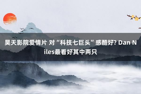 昊天影院爱情片 对“科技七巨头”感酷好? Dan Niles最看好其中两只