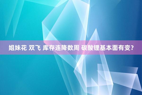 姐妹花 双飞 库存连降数周 碳酸锂基本面有变？