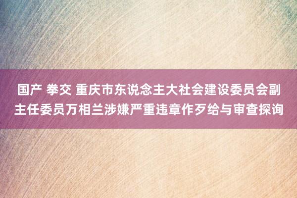 国产 拳交 重庆市东说念主大社会建设委员会副主任委员万相兰涉嫌严重违章作歹给与审查探询