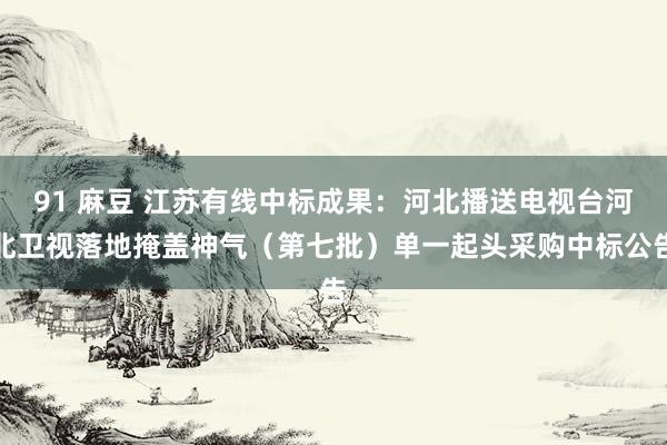 91 麻豆 江苏有线中标成果：河北播送电视台河北卫视落地掩盖神气（第七批）单一起头采购中标公告