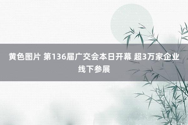 黄色图片 第136届广交会本日开幕 超3万家企业线下参展