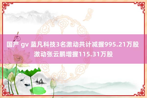 国产 gv 蓝凡科技3名激动共计减握995.21万股 激动张云鹏增握115.31万股