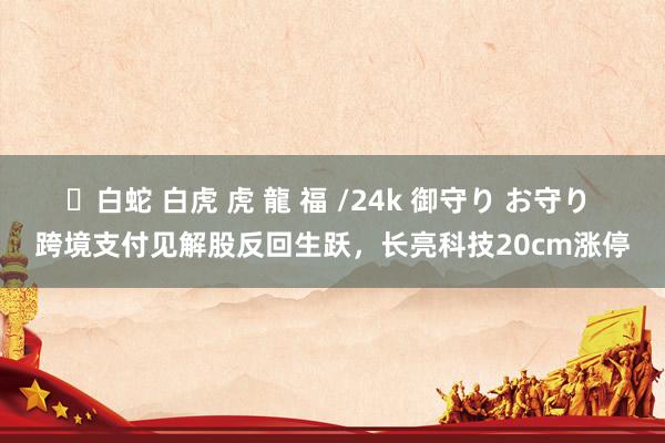 ✨白蛇 白虎 虎 龍 福 /24k 御守り お守り 跨境支付见解股反回生跃，长亮科技20cm涨停