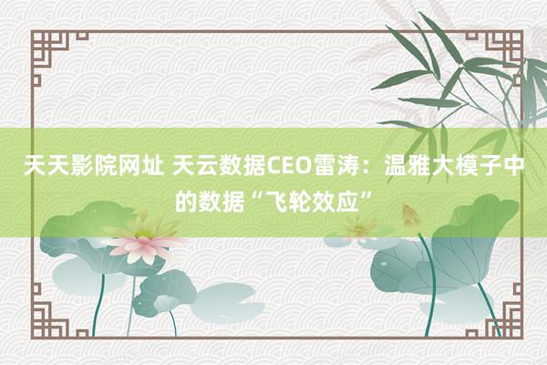 天天影院网址 天云数据CEO雷涛：温雅大模子中的数据“飞轮效应”