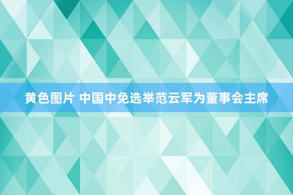 黄色图片 中国中免选举范云军为董事会主席