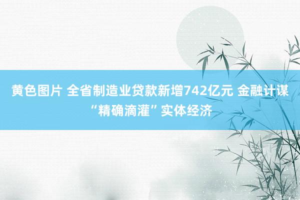 黄色图片 全省制造业贷款新增742亿元 金融计谋“精确滴灌”实体经济