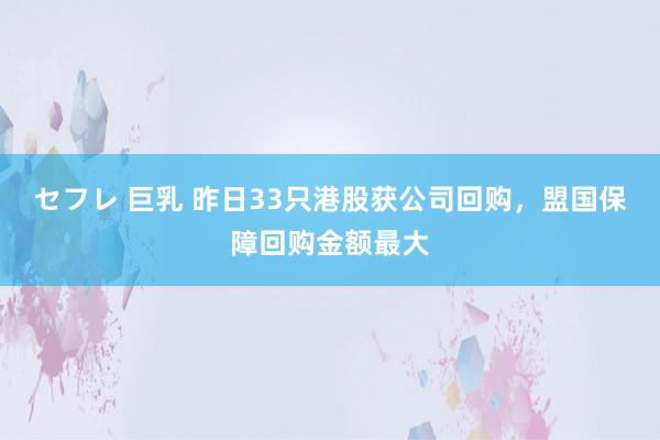 セフレ 巨乳 昨日33只港股获公司回购，盟国保障回购金额最大