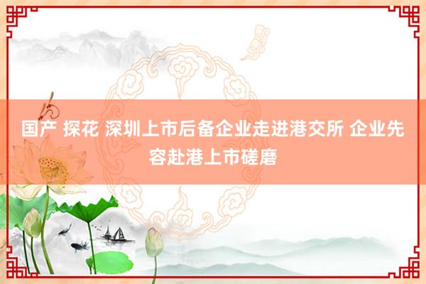 国产 探花 深圳上市后备企业走进港交所 企业先容赴港上市磋磨