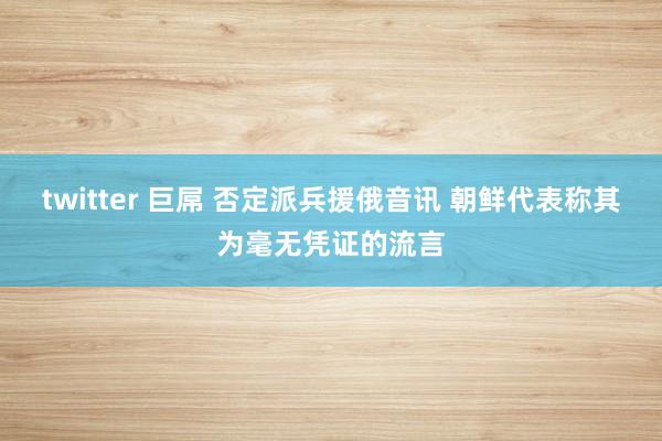 twitter 巨屌 否定派兵援俄音讯 朝鲜代表称其为毫无凭证的流言