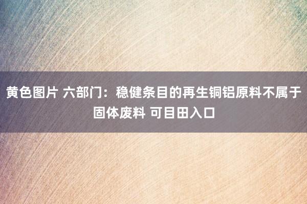 黄色图片 六部门：稳健条目的再生铜铝原料不属于固体废料 可目田入口