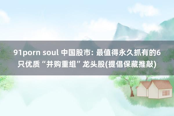 91porn soul 中国股市: 最值得永久抓有的6只优质“并购重组”龙头股(提倡保藏推敲)