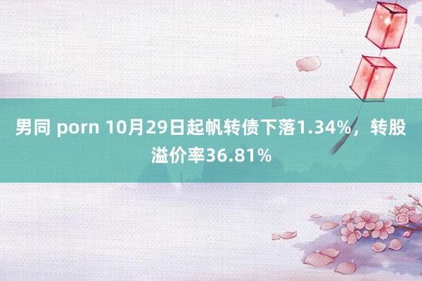 男同 porn 10月29日起帆转债下落1.34%，转股溢价率36.81%