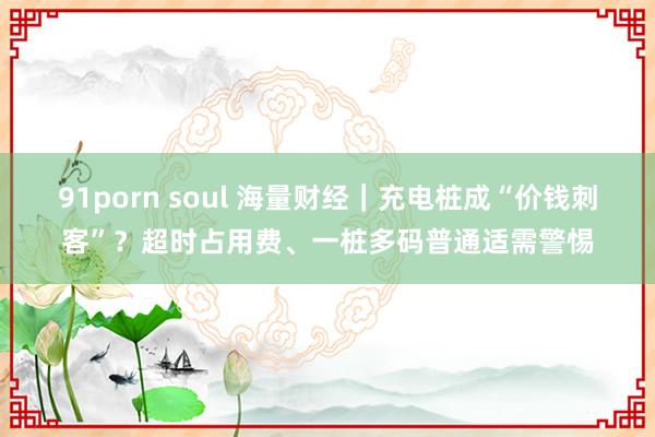 91porn soul 海量财经｜充电桩成“价钱刺客”？超时占用费、一桩多码普通适需警惕