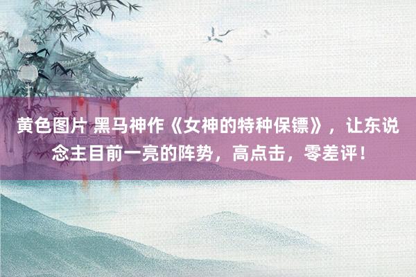 黄色图片 黑马神作《女神的特种保镖》，让东说念主目前一亮的阵势，高点击，零差评！