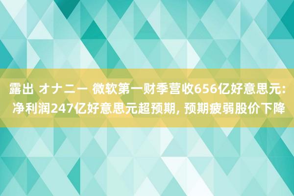 露出 オナニー 微软第一财季营收656亿好意思元: 净利润247亿好意思元超预期， 预期疲弱股价下降