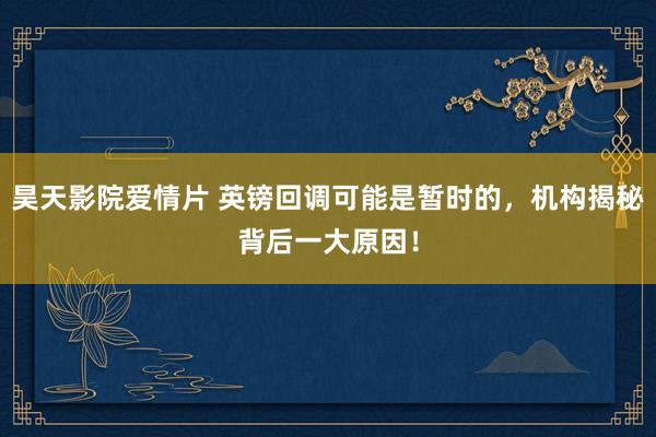 昊天影院爱情片 英镑回调可能是暂时的，机构揭秘背后一大原因！