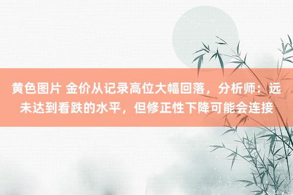 黄色图片 金价从记录高位大幅回落，分析师：远未达到看跌的水平，但修正性下降可能会连接