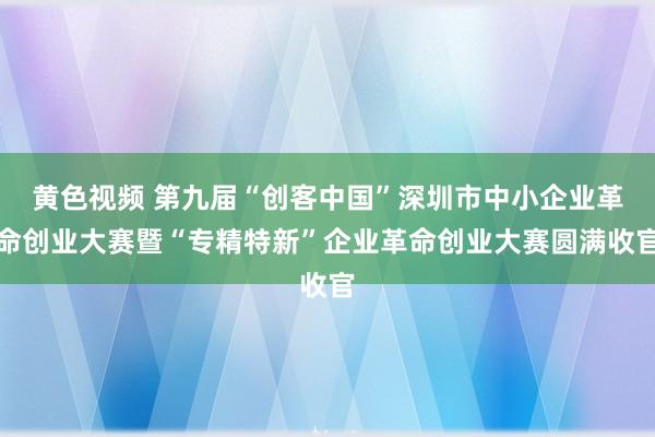 黄色视频 第九届“创客中国”深圳市中小企业革命创业大赛暨“专精特新”企业革命创业大赛圆满收官