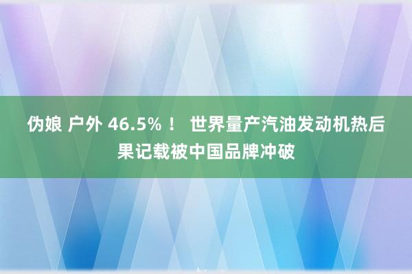 伪娘 户外 46.5% ！ 世界量产汽油发动机热后果记载被中国品牌冲破