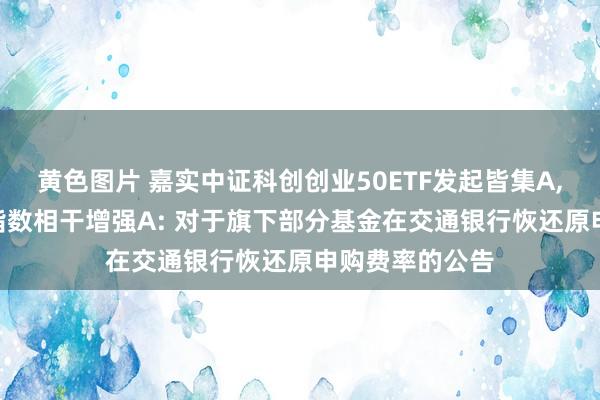 黄色图片 嘉实中证科创创业50ETF发起皆集A，嘉实沪深300指数相干增强A: 对于旗下部分基金在交通银行恢还原申购费率的公告