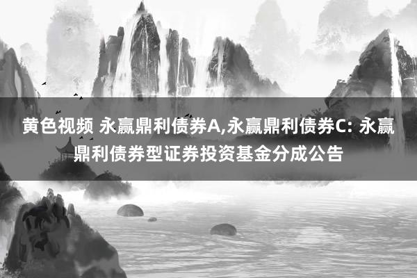 黄色视频 永赢鼎利债券A，永赢鼎利债券C: 永赢鼎利债券型证券投资基金分成公告