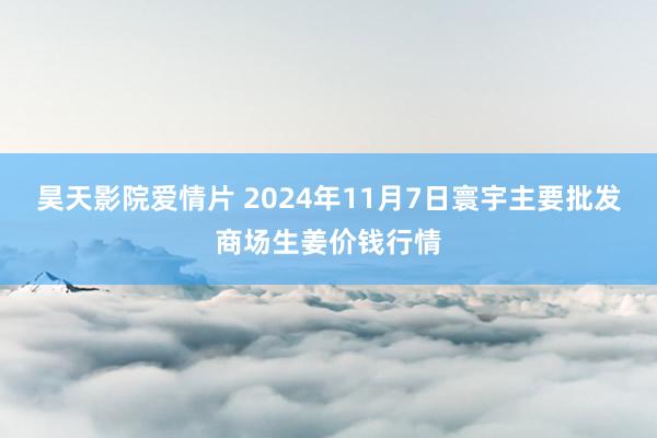 昊天影院爱情片 2024年11月7日寰宇主要批发商场生姜价钱行情