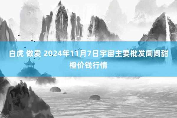 白虎 做爱 2024年11月7日宇宙主要批发阛阓甜橙价钱行情