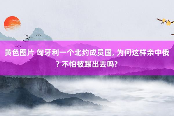 黄色图片 匈牙利一个北约成员国， 为何这样亲中俄? 不怕被踢出去吗?