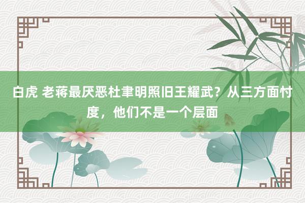 白虎 老蒋最厌恶杜聿明照旧王耀武？从三方面忖度，他们不是一个层面